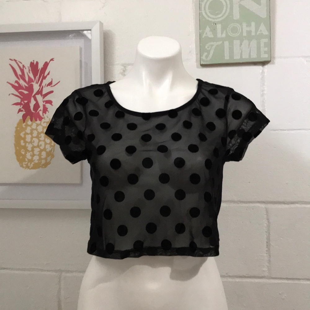 NWT Express XS Sheer Black Polka Dot Crop Top